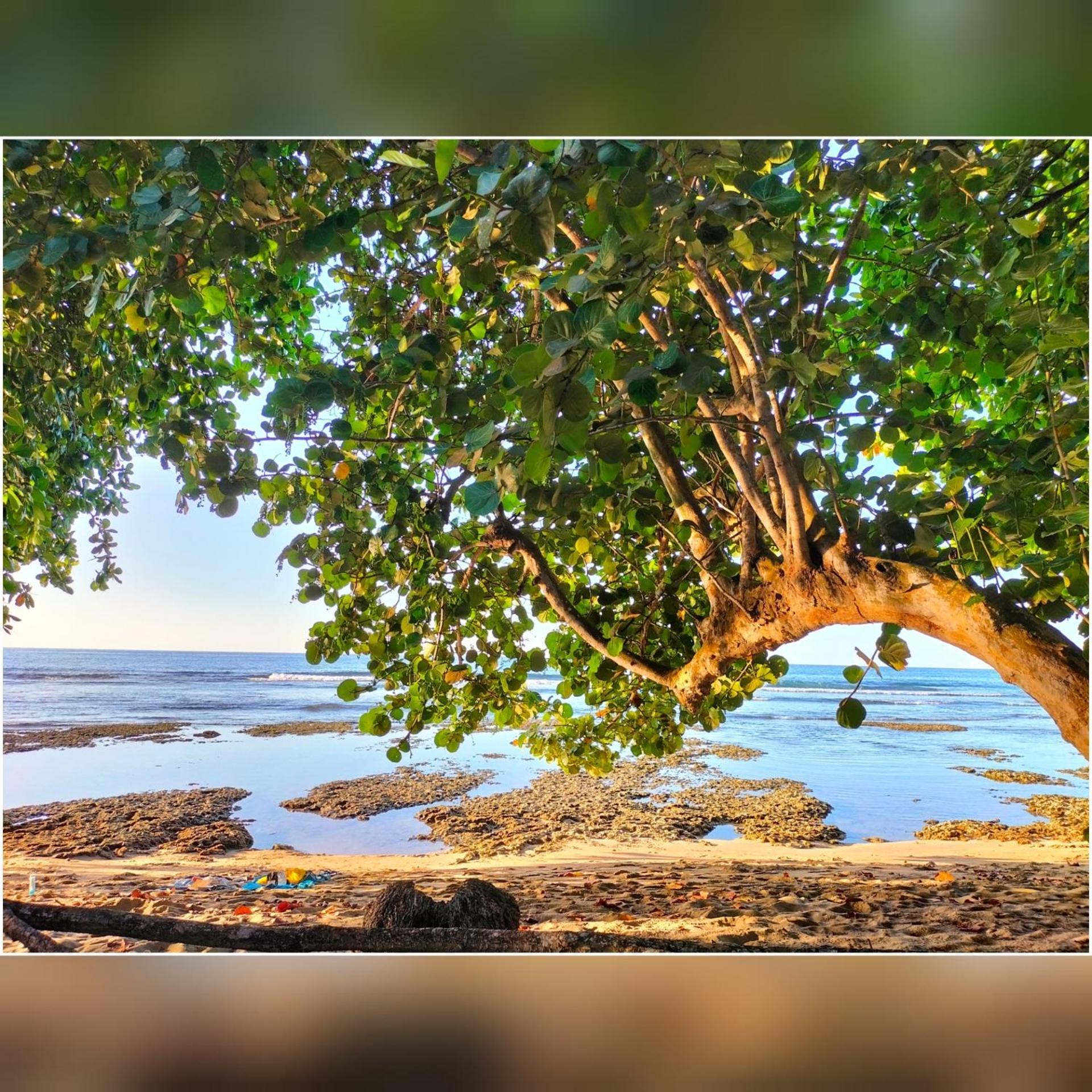 Cabinas Coconut Grove Puerto Viejo de Talamanca ภายนอก รูปภาพ
