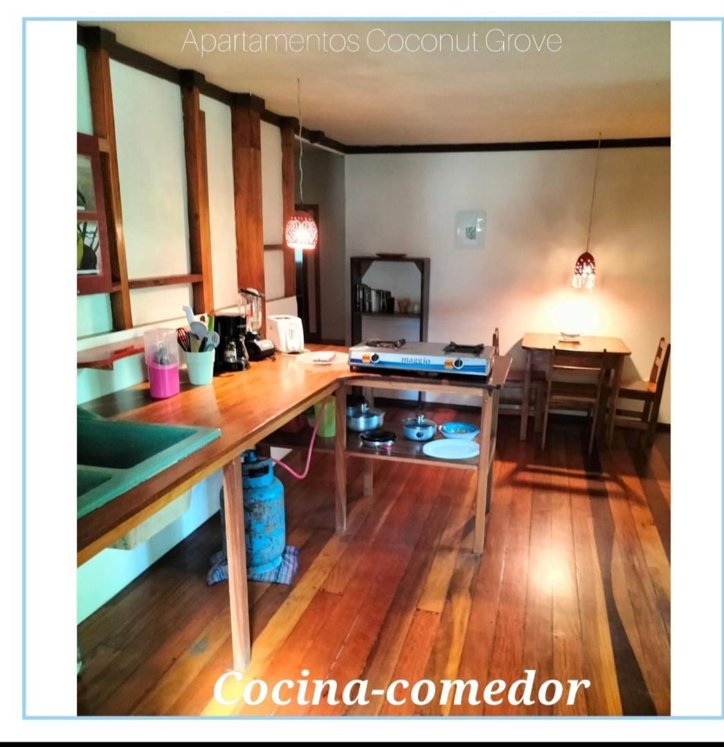 Cabinas Coconut Grove Puerto Viejo de Talamanca ภายนอก รูปภาพ